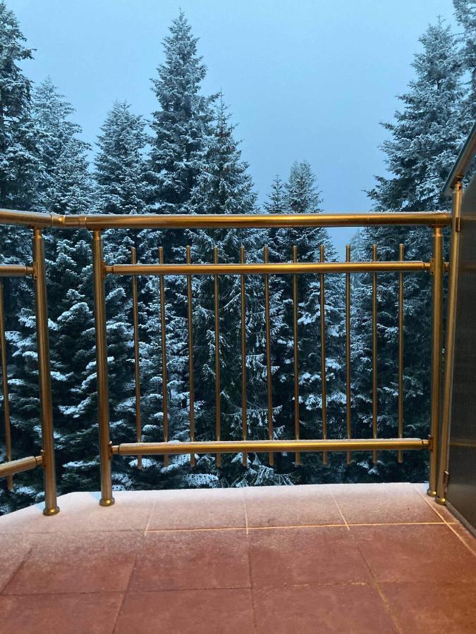 Flora Apartment 613 Borovets Exterior photo